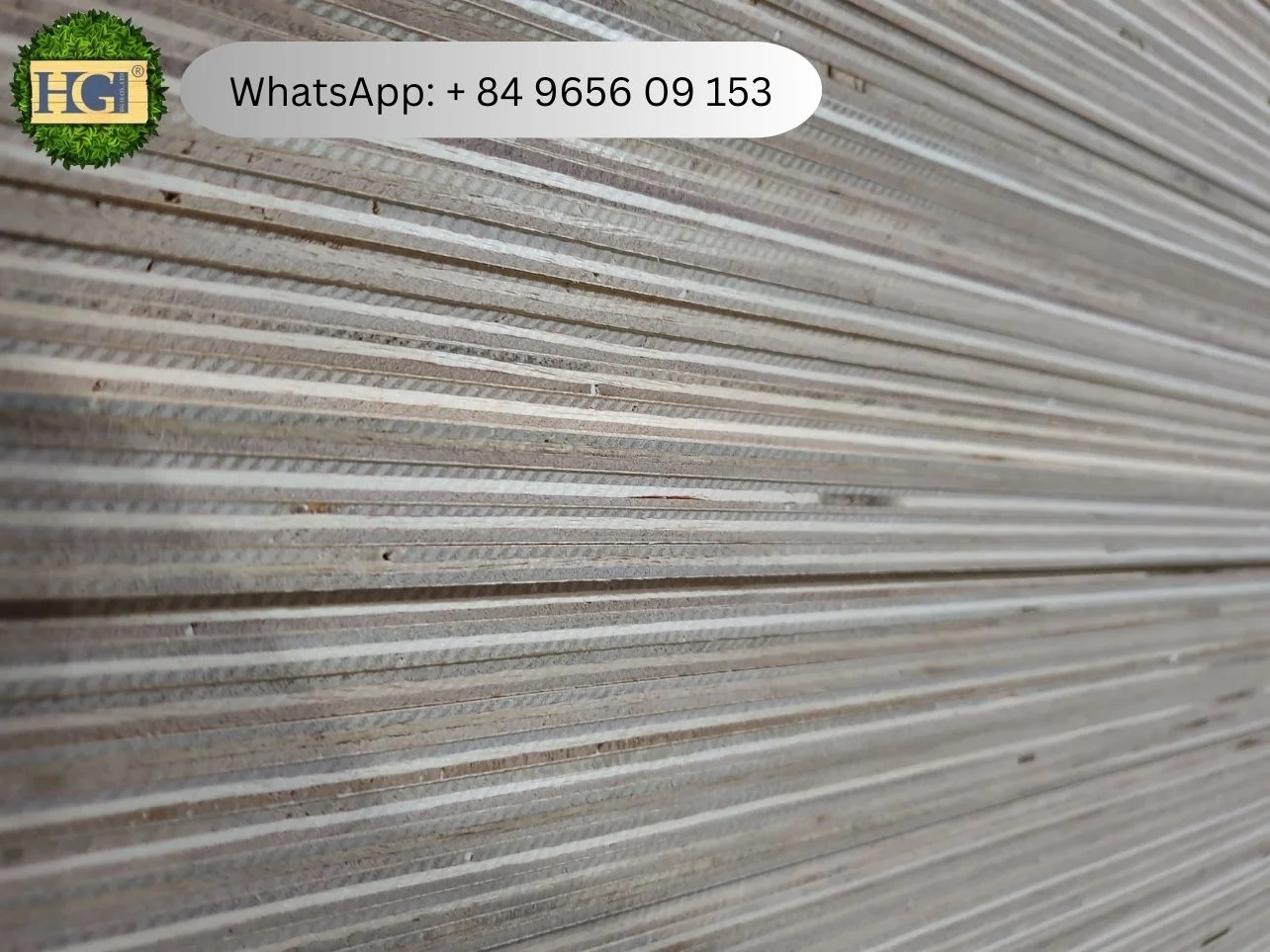 vietnam ply side